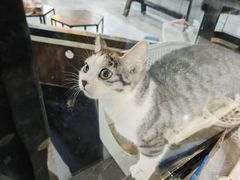 -弓舍射箭俱乐部(高新总店)