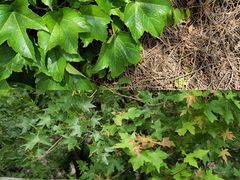 -天津盘山风景名胜区