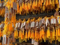 -乌镇景区