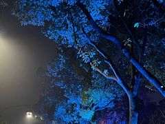 -丝绸小镇荻港古村