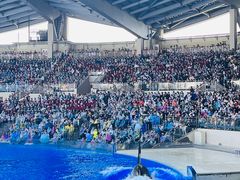 -上海海昌海洋公园