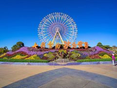 -七彩云南欢乐世界