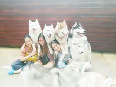 -TrueLove @ Neverland (Husky Cafe)