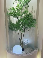 -VE专注问题肌·赛诺龙&科学美肤中心