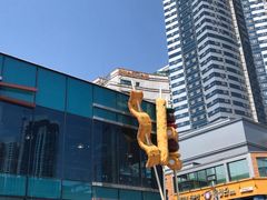 -古来思鱼饼