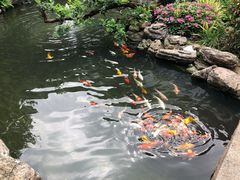 -聚福宝合苑食府(南头镇店)