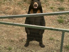 -石家庄市动物园