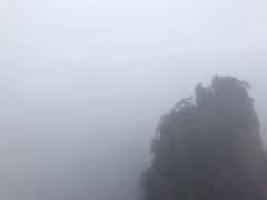 -SAH健身私教工作室(紫东店)