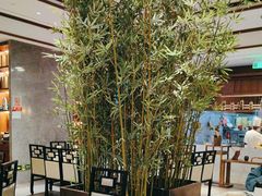 -松鹤楼·非遗·苏帮菜(融科店)