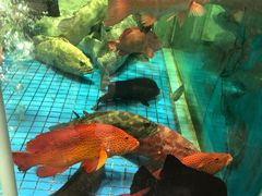 -聚福宝合苑食府(南头镇店)