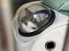 -美联众合动物医院·24h京西诊疗中心