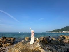 -杨梅坑