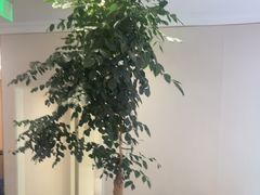 -鹿港小镇(黄金店)