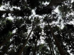 -娄山关景区
