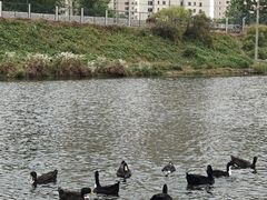 -前关湿地公园