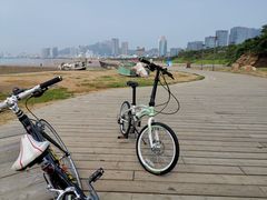 -道路口单车爱瓦士dahon大行