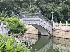-荔湾湖公园