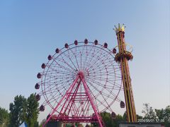 -淄博花灯齐彩城