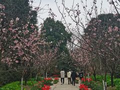 -南山植物园