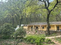 -句容茅山景区