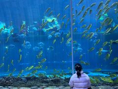 -华夏文旅西安度假区