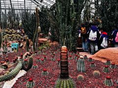 -南通洲际绿博园