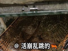 -闽鄂情·闽南招财鸭(水头店)