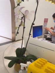 -Dr.U博士医疗美容医院