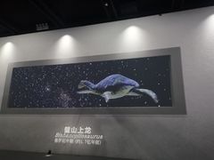 -天津自然博物馆