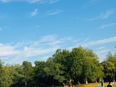 -盘龙城国家考古遗址公园