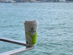 鸳鸯奶茶-天仁茗茶(海港城诚品书店)