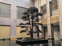 -外滩·云南人家(昆明旗舰店)