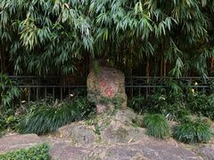 -杭州黄龙洞