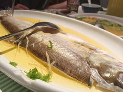 -桂满陇·蟹黄小笼汤包(清河万象店)
