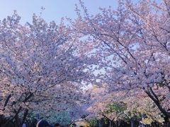 -蠡湖大桥公园