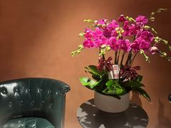 -霖公馆SPA·足道(普善路店)