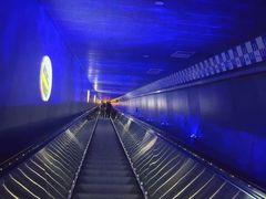 -白鹤梁水下博物馆