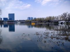 -大兴滨河森林公园