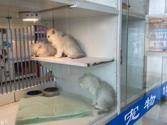 -三旗百汇商品城