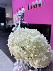 -十孕纪高端孕妇亲子摄影