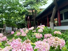 -阅江楼风景区