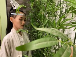 -盘子女人坊古装写真摄影(天津总店)