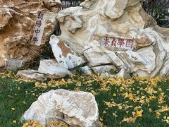 -北京市陈经纶中学