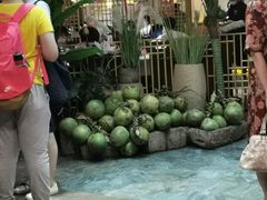 -探窝·竹笙椰子鸡(杨箕店)