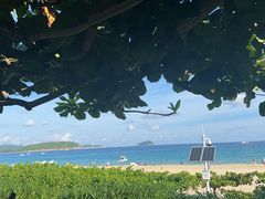 -渔家火锅·海鲜自助餐·演艺(亚龙湾天域酒店)