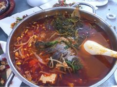 酸汤鱼-甲21号招待所