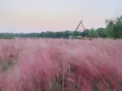 -艾溪湖湿地公园