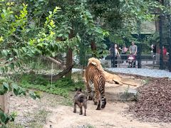 -北京野生动物园