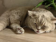 -MIMO CAFE(沙头角店)
