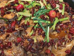 -老板恋上鱼(恒隆广场店)